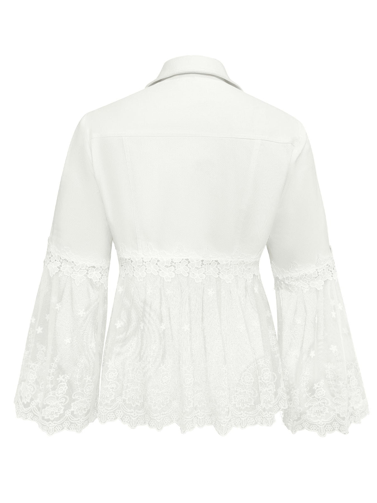 Harper | Sheer Panel Jacket
